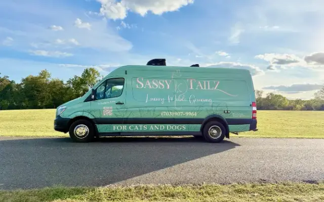 Sassy Tailz Pet Grooming in Chantilly, VA