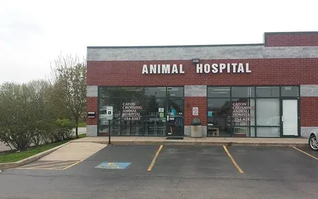Caton Crossing Animal Hospital in Plainfield, IL