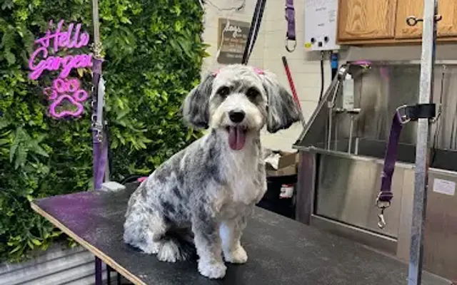 Hays Groom & Board, LLC in Plain Dealing, LA
