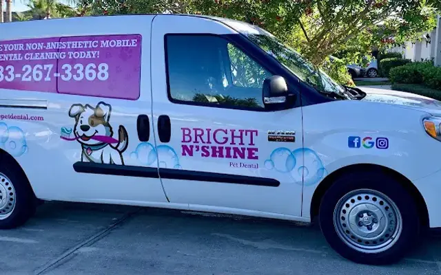 Bright N Shine Pet Dental of Osceola County in St Cloud, FL