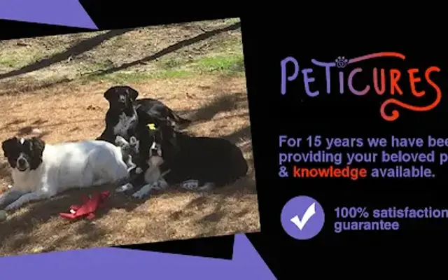 Peticures - Dog Nail Trimming in Auburn, GA