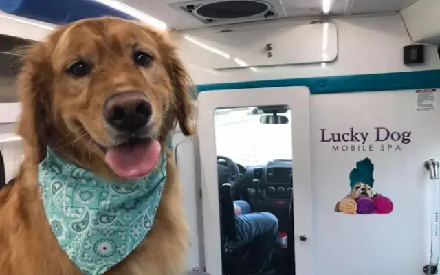 Awesome Dog Mobile Spa in Coeur d'Alene, ID