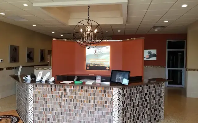Happy Hounds Hotel & Day Spa in Lakewood, NY