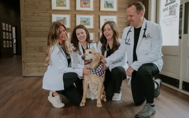 Good Dog Veterinary Care Smyrna in Smyrna, GA