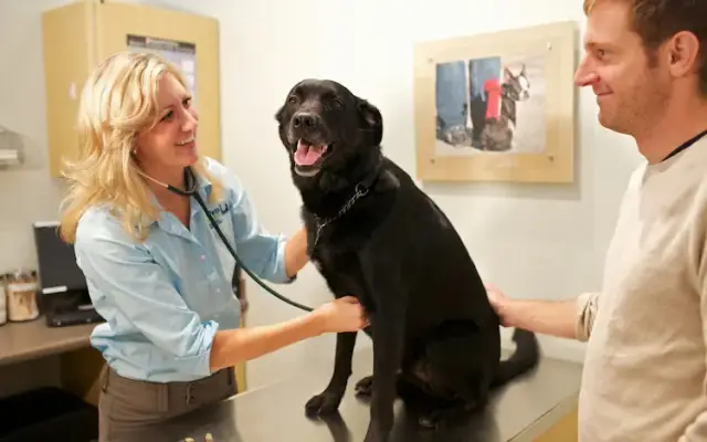 Your Pets Wellness (Bucktown), A Thrive Pet Healthcare Partner in Chicago, IL