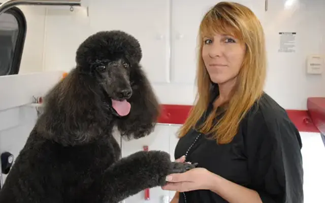 K911 Mobile Grooming in Montgomery, TX