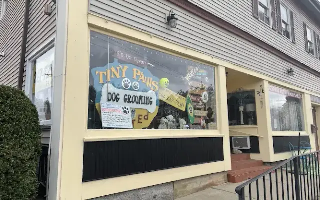 Tiny Paws Dog Grooming in East Hampton, CT