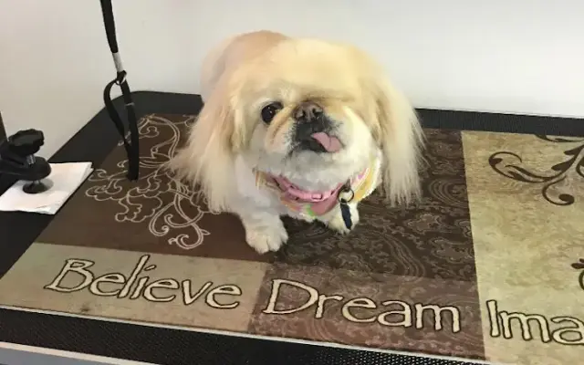 Barks & Bubbles in Jefferson, NC