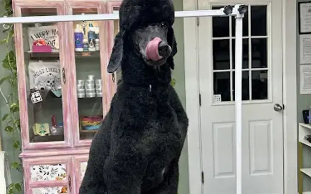 The Furry Friend in Hardinsburg, KY