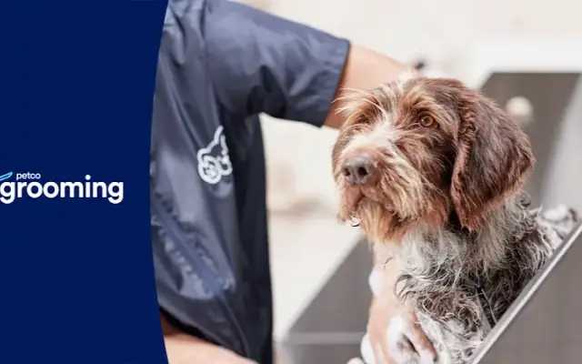 Petco Grooming in Cedar Park, TX