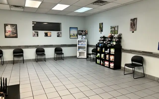 Southgate Animal Hospital in Copiague, NY