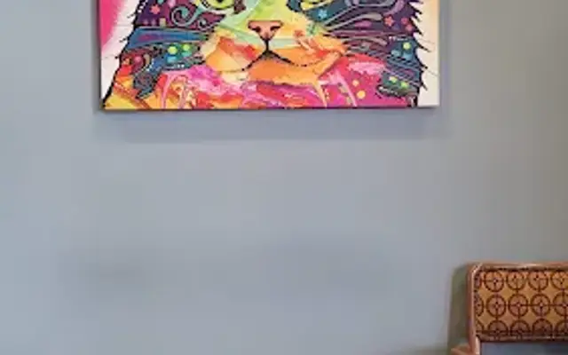 Haven Animal Hospital in San Jacinto, CA