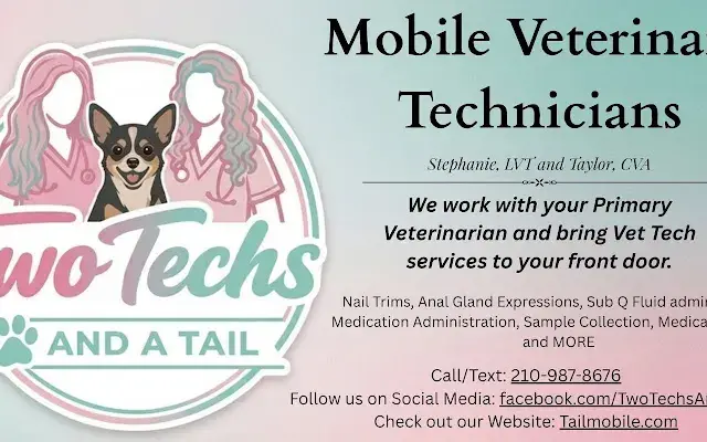 Two Techs and A tail in San Antonio, TX