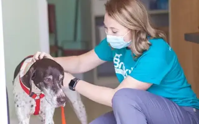 CareVet at Brookville in Brookville, OH