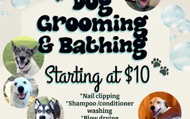 Faithful Friends Pet Lodge & Salon in New Caney, TX
