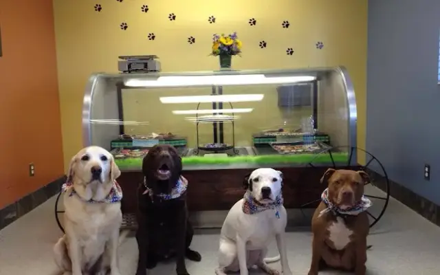 Sudzy Paws in Carterville, IL