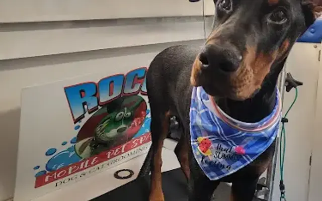Roco Mobile Pet Spa in Prospect Park, NJ