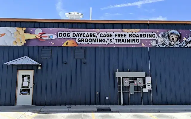 Your Pet Space in Las Cruces, NM