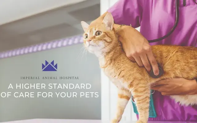 Imperial Animal Hospital in La Mirada, CA