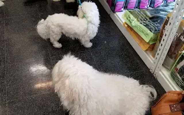 Katie's Pet Depot in North Brunswick Township, NJ