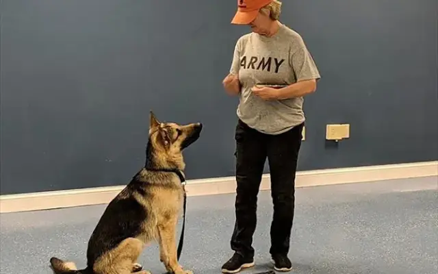 Big River Canine Coach in Clinton, IA