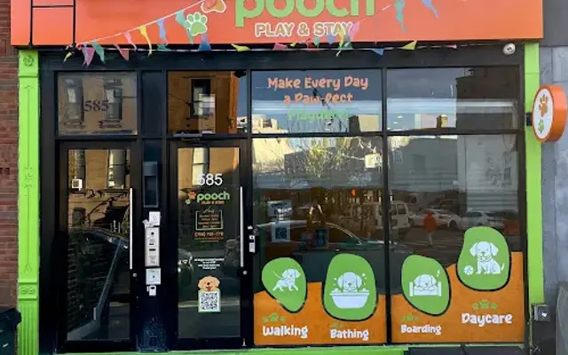 Pooch Play and Stay in Brooklyn, NY