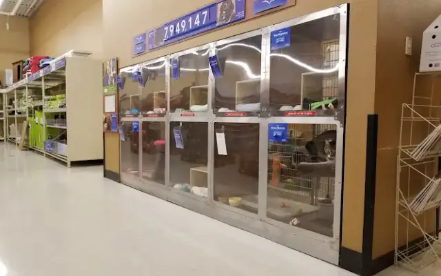 PetSmart in Aiken, SC