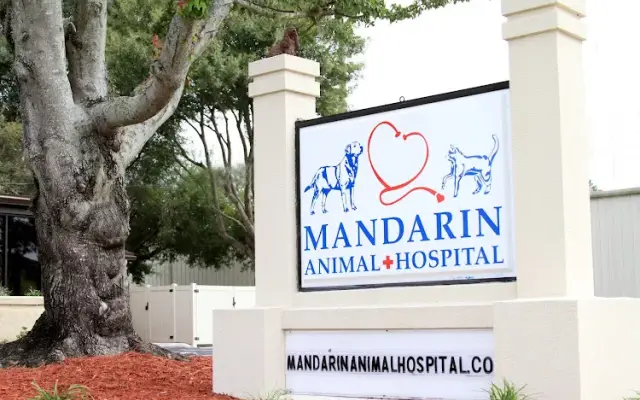 Mandarin Animal Hospital in Jacksonville, FL