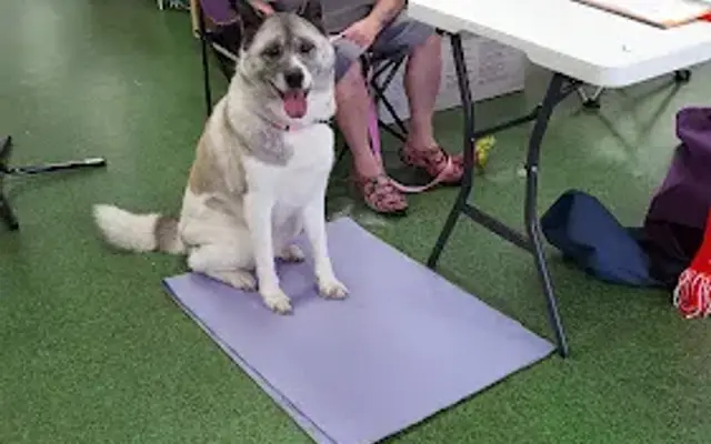 Pet Supermarket in Jacksonville, FL