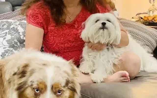 Becky’s Dog Retreat And Spa in Hollywood, FL