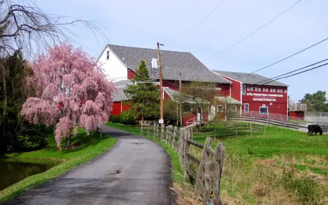 Lucky Chance Pet Resort & Spa in Quakertown, PA