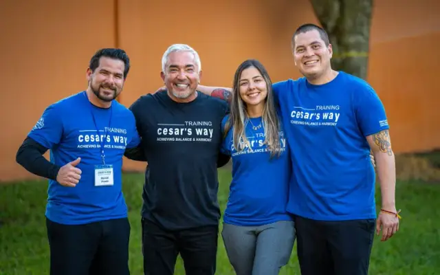 Dog Crew | Dog Training in Wesley Chapel, FL