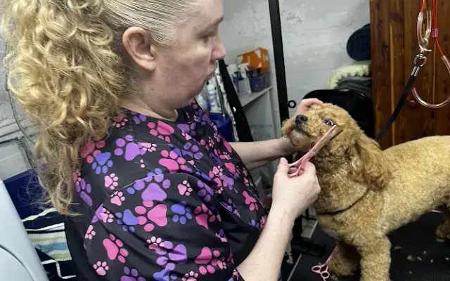 Lorena's Grooming Cats & Dogs in Coram, NY