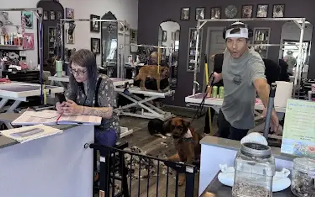 One Love Pet Parlor in Phoenix, AZ