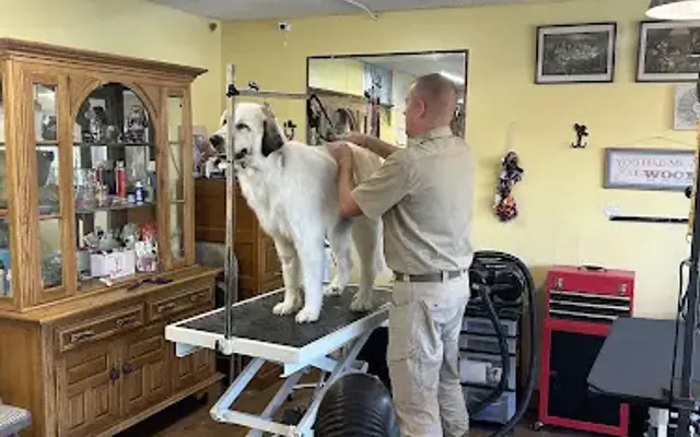 Doghalla Dog Grooming in Englewood, CO