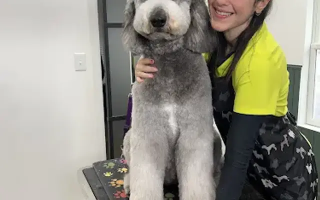 Petsfriends Grooming & Café in Hilliard, OH