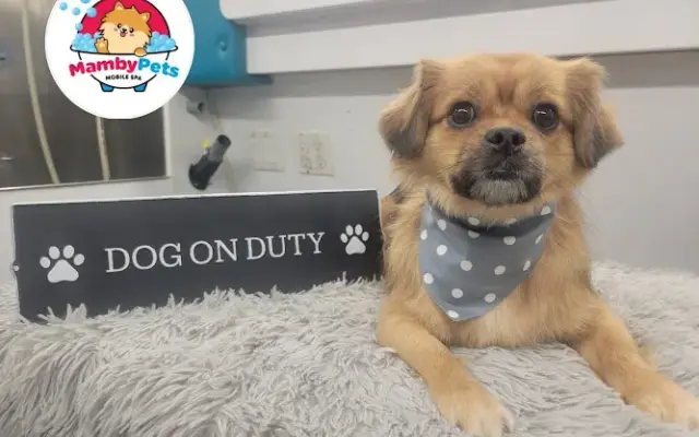 Mamby Pets in Kissimmee, FL