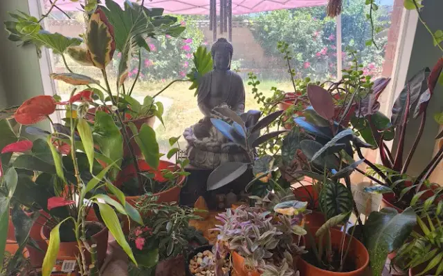 Shag N Tails Zen Den in Northridge, CA