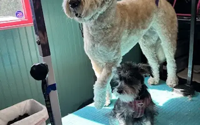 Pawz & Clawz Grooming in Hightstown, NJ