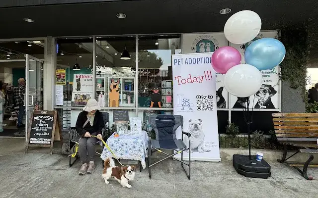 Tailwaggers & Tailwashers Larchmont Village in Los Angeles, CA