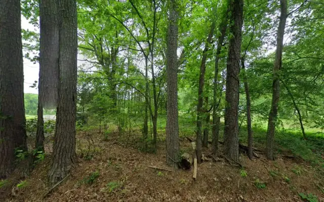 Sweet Magnolia Kennels, LLC in Shannon, MS