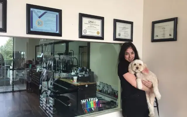 Bella Mia Pet Grooming in Chino Hills, CA