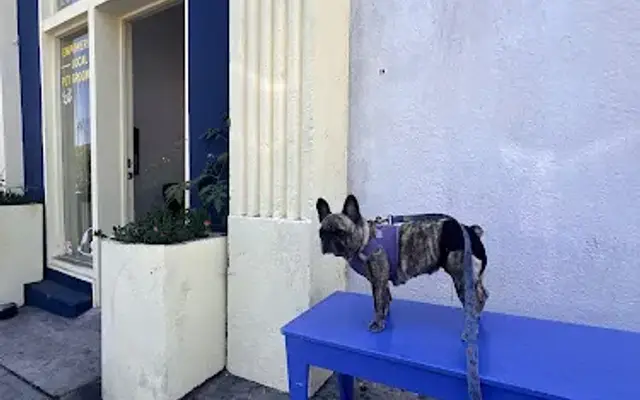 Le Frenchie Bathhouse - Pardon My Frenchie Foundation in Los Angeles, CA