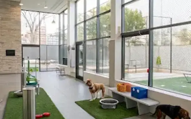 Lechienandco in Dallas, TX