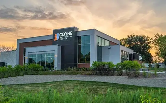 Coyne Veterinary Center - St. John in St John, IN