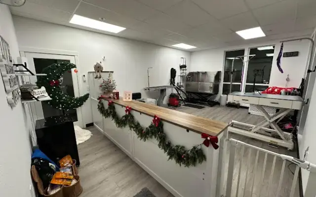 Jt Paw Spa in Keizer, OR