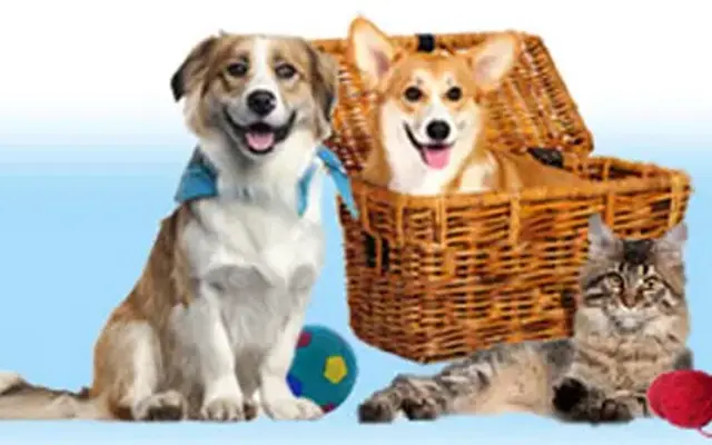Bokhara Pet Resort (Elk Rapids - Williamsburg) in Williamsburg, MI