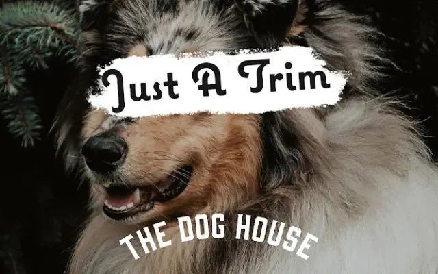 The Dog House Grooming Studio in Sunnyvale, TX