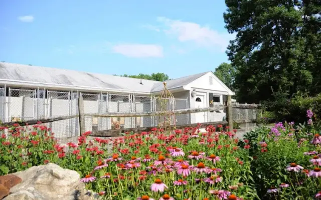 The Dog House Kennel in Pottersville, NJ