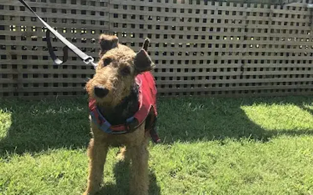 Tally-ho! Pet Care in Boone, NC
